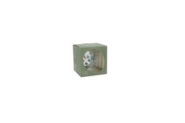 Eigenart Lyn "Eucalyptus" double walled glass, 0.25L, giftbox