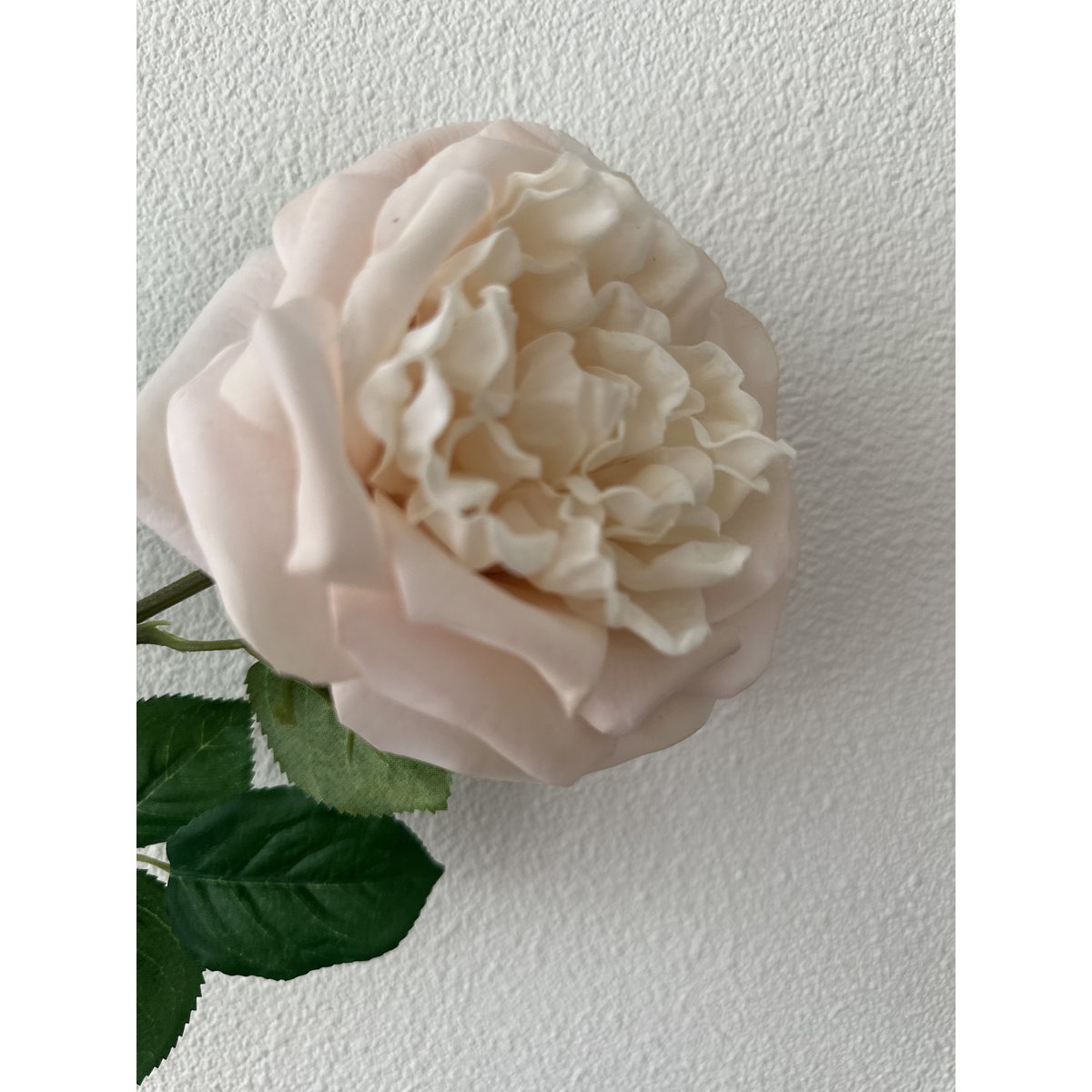QMF Touch Rose 65cm Lys pink 2STK