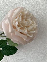 QMF Touch Rose 65cm Rosa claro 2PZS