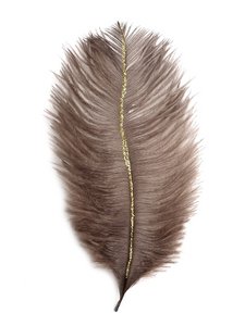 GLITTERFEDER 21x9cm 6 Stk., Braun