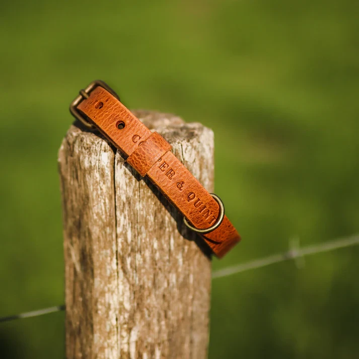 No Fuss Collar Dog Leather Camel