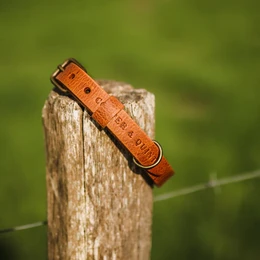 No Fuss Collar Dog Leather Camel