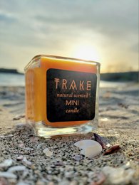 TANGERINE AND SANDALWOOD, SWEET FRUITY AROMATIC CANDLE | SEASONAL MINI EDITION