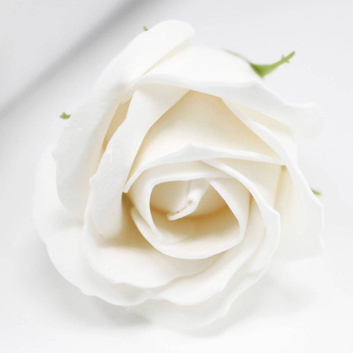 Flower Soap for Craft - Med Rose - White