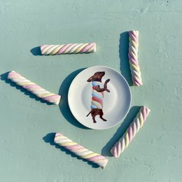 Sweet Wieners - Set of 6 pastry plates