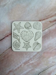 Coaster - Shells