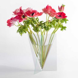 Designvase - Mart van Schijndel - Deltavase