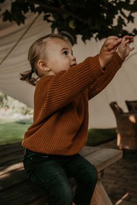Billy Knit Sweater - Rust