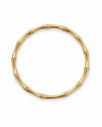 BAMBOO GLOW – Bracelet rigide doré imperméable