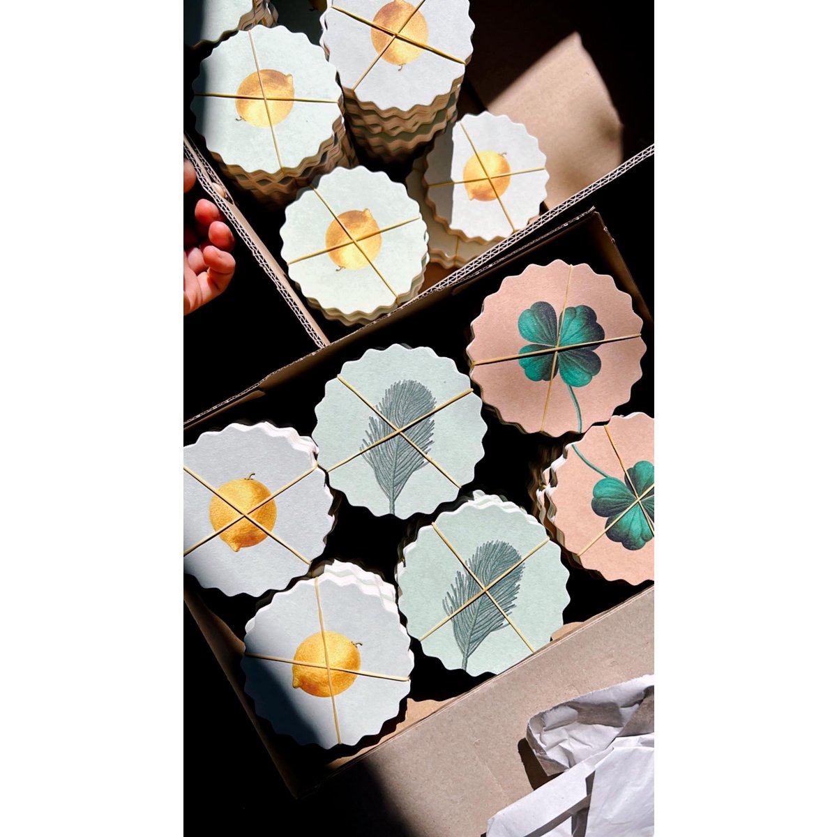 Posavasos/Posavasos 10 Frutas y Verduras - 12 Juegos