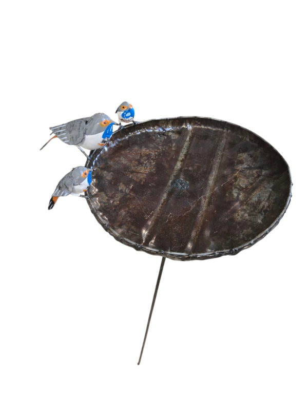 Métal grand bol de gorge bleue Birdfeeder sur bâton