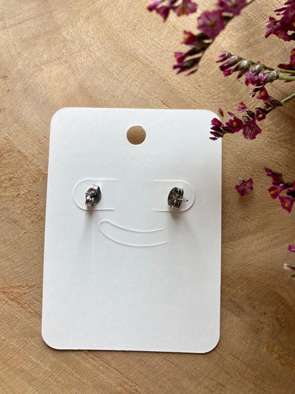 Resin/Stainless Steel Earrings silver with real 'Gypsophila'