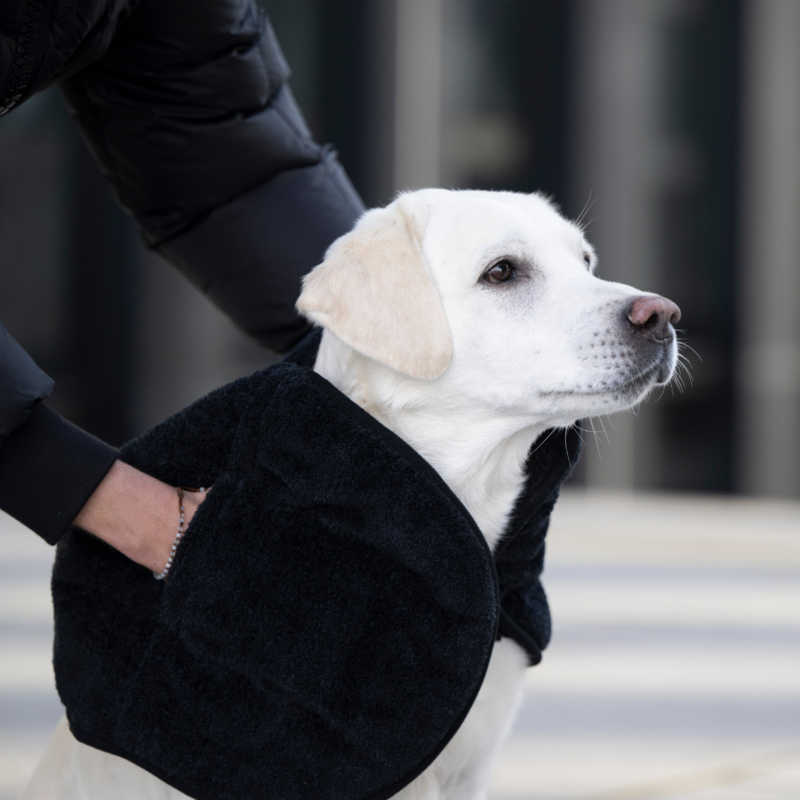 Hundehandtuch ultra tør komfort antrazit