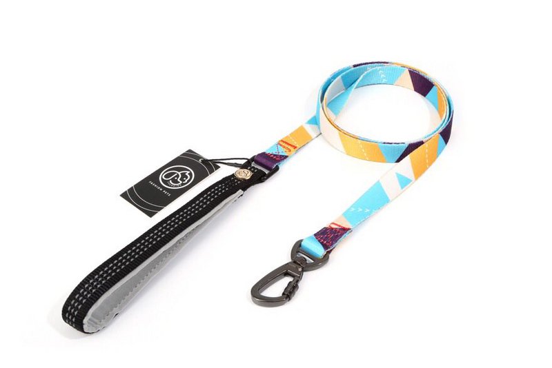 Guinzaglio per cani Multicolore - 4001-1