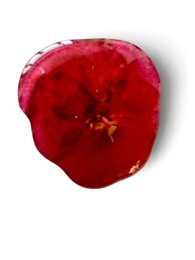 violín | Flor | Broches | Hecho a mano, juego de 5 piezas.