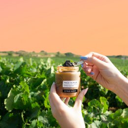 Face Scrub with Coffee + Rosehip Oil - Citrus Blend