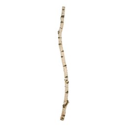 Tronc de bouleau - 150x6cm