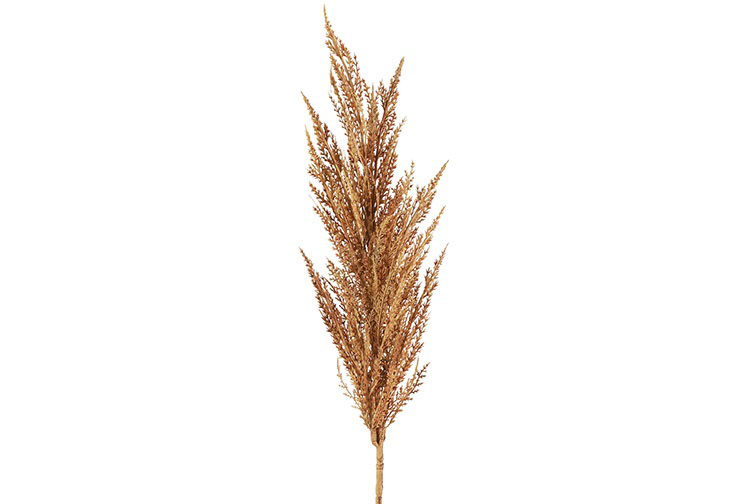 Kunstgras/pluim Cortaderia (Pampas)- L5B8H93CM