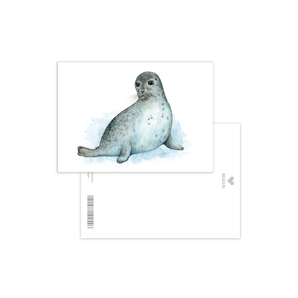 Cartolina Sandy Seal