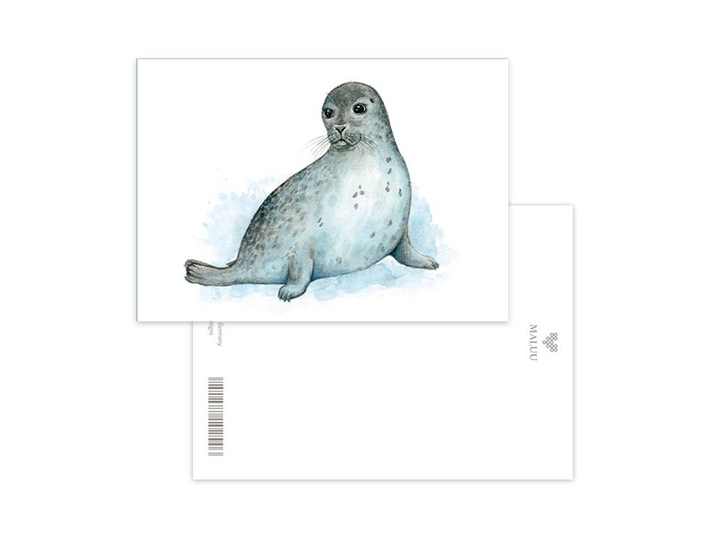Cartolina Sandy Seal