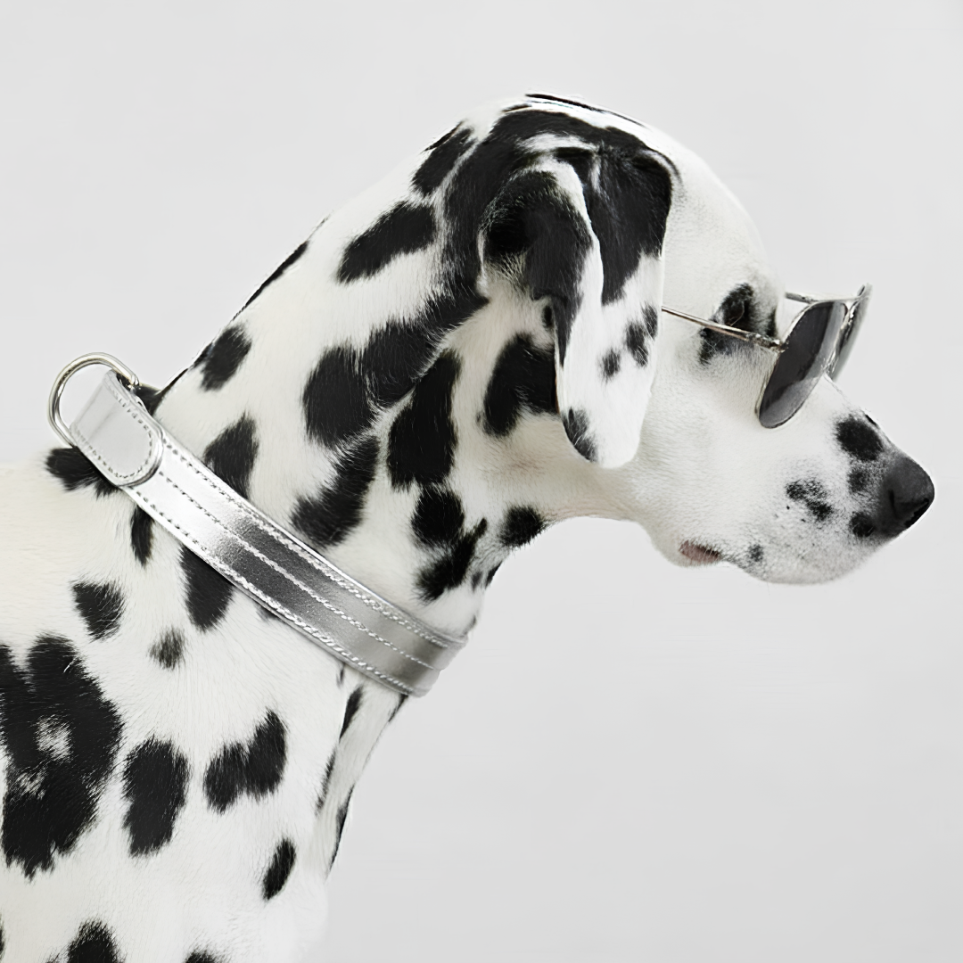 COLLAR IGLESIA. Plata – Collar de perro de cuero vegano