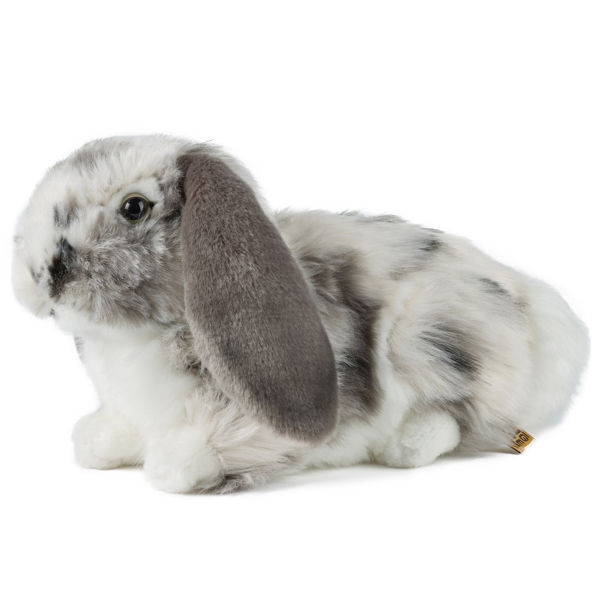 DUTCH LOP EARED RABBIT GREY 30cm