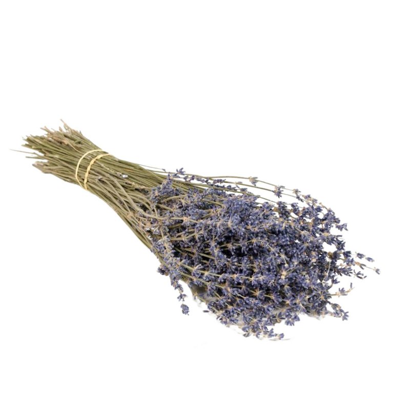 Fiori secchi - Lavanda blu naturale
