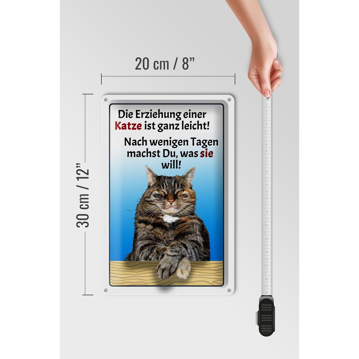 Blikken bordje met de tekst 20x30cm Het opvoeden van een kat is eenvoudig
