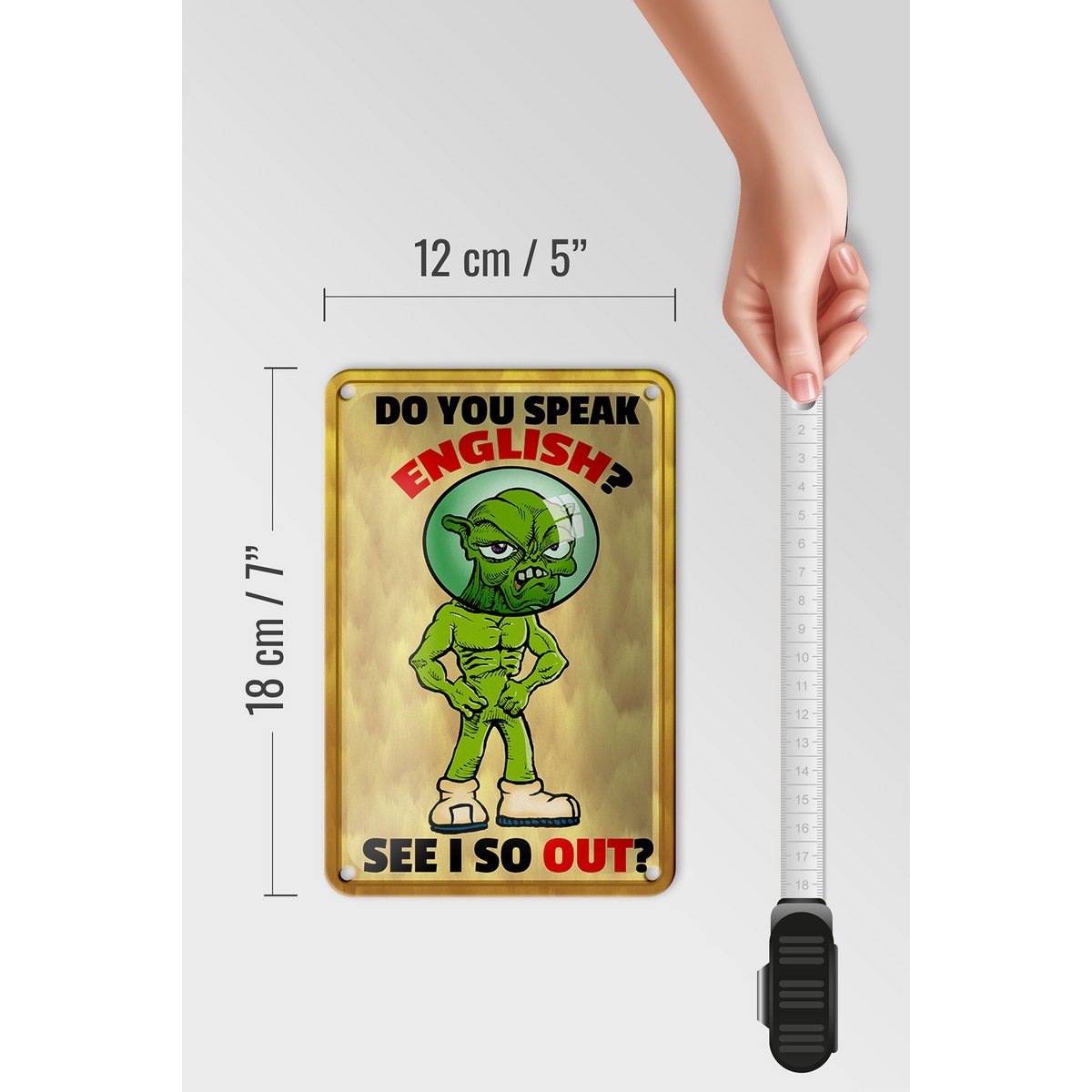 Blechschild Spruch 12x18cm Do you speak english See i so out Schild