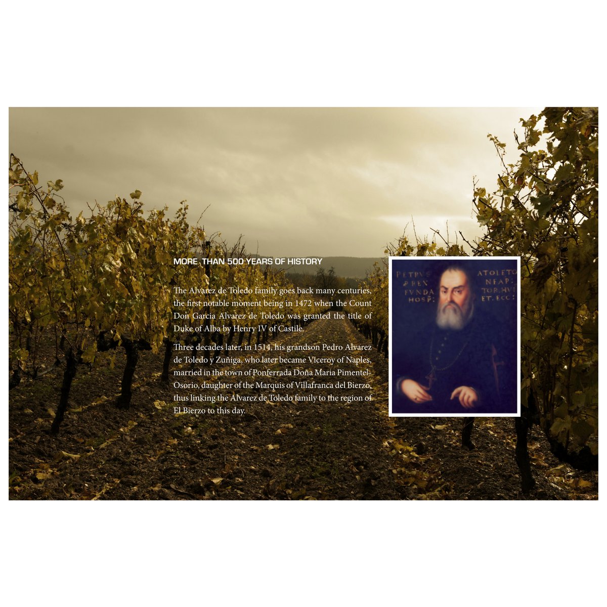Mencía Alvarez de Toledo Vino D.O