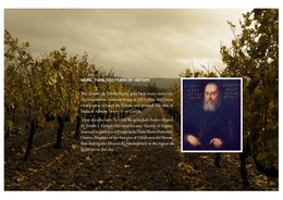 Mencía Alvarez de Toledo Vino D.O