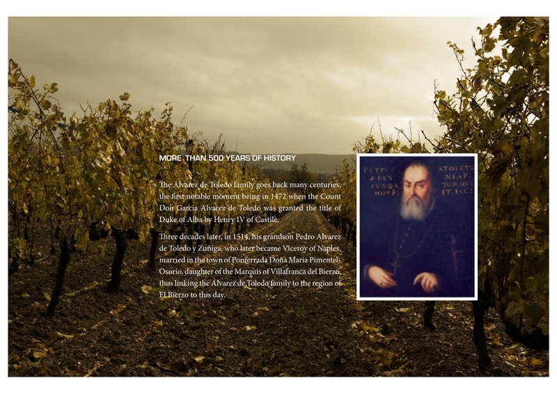 Mencía Alvarez de Toledo Vino D.O