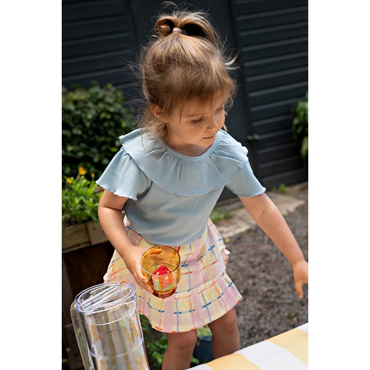 Skirt Rijk