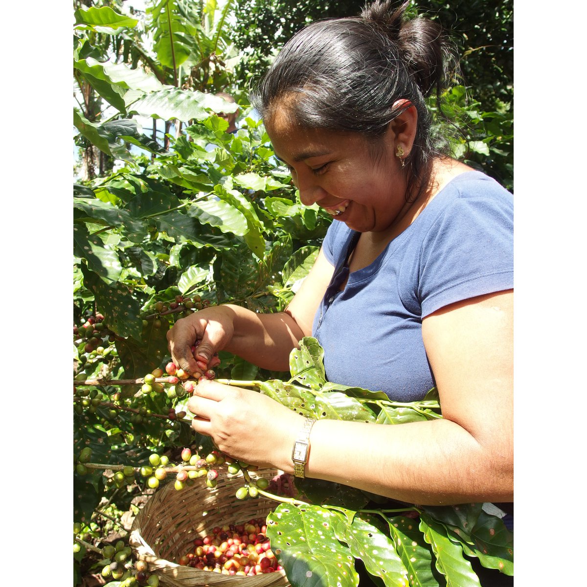 Espresso for Future (bio), 250g, moulu