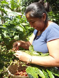 Espresso for Future (organic), 250g, ground