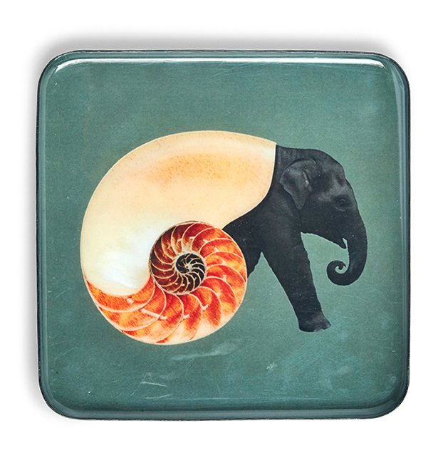 Shellephant Snuisterijbakje