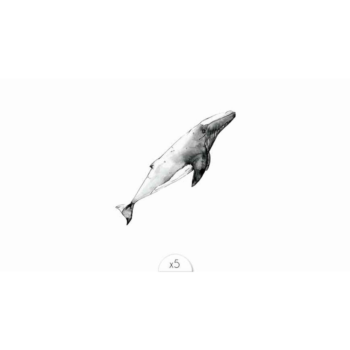 Tijdelijke tattoo: Walvis