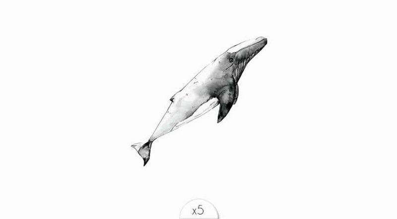 Tijdelijke tattoo: Walvis