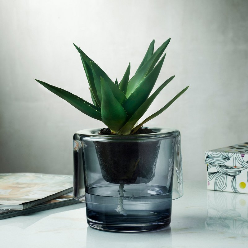 Roots Herb Pot Clear Top