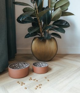 Ceramic food bowl Jag - Size S