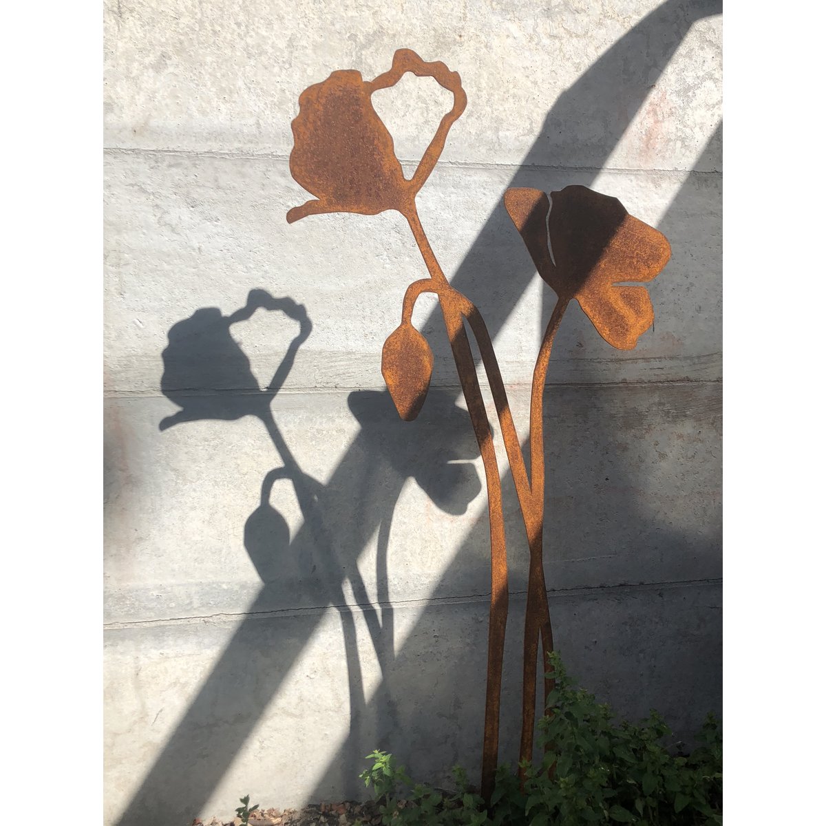 Poppy with flower bud | corten stem