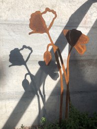 Coquelicot avec bouton floral | tige de corten