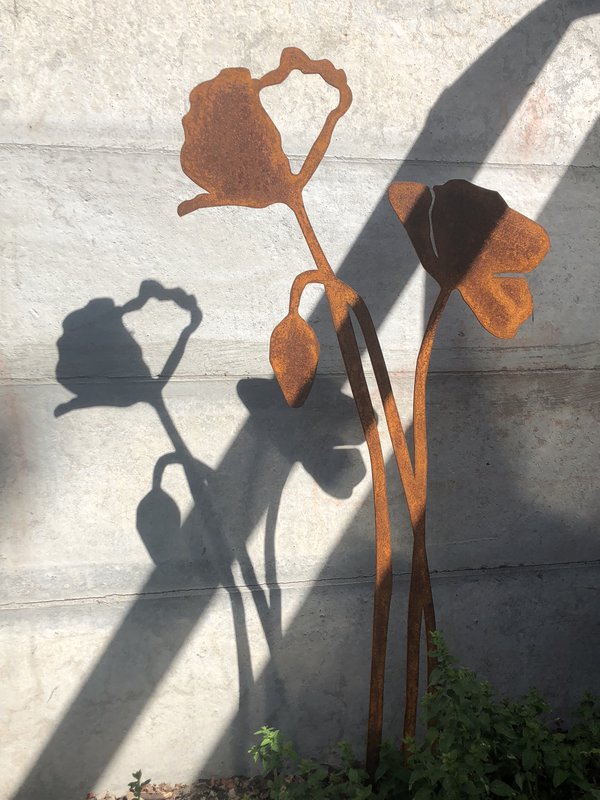 Valmue med blomsterknop | corten stål
