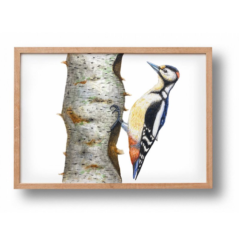 Dierenposter specht - A4 - babykamer kinderkamer - kraamcadeau - wanddecoratie - handgeschilderd door Mies met aquarel