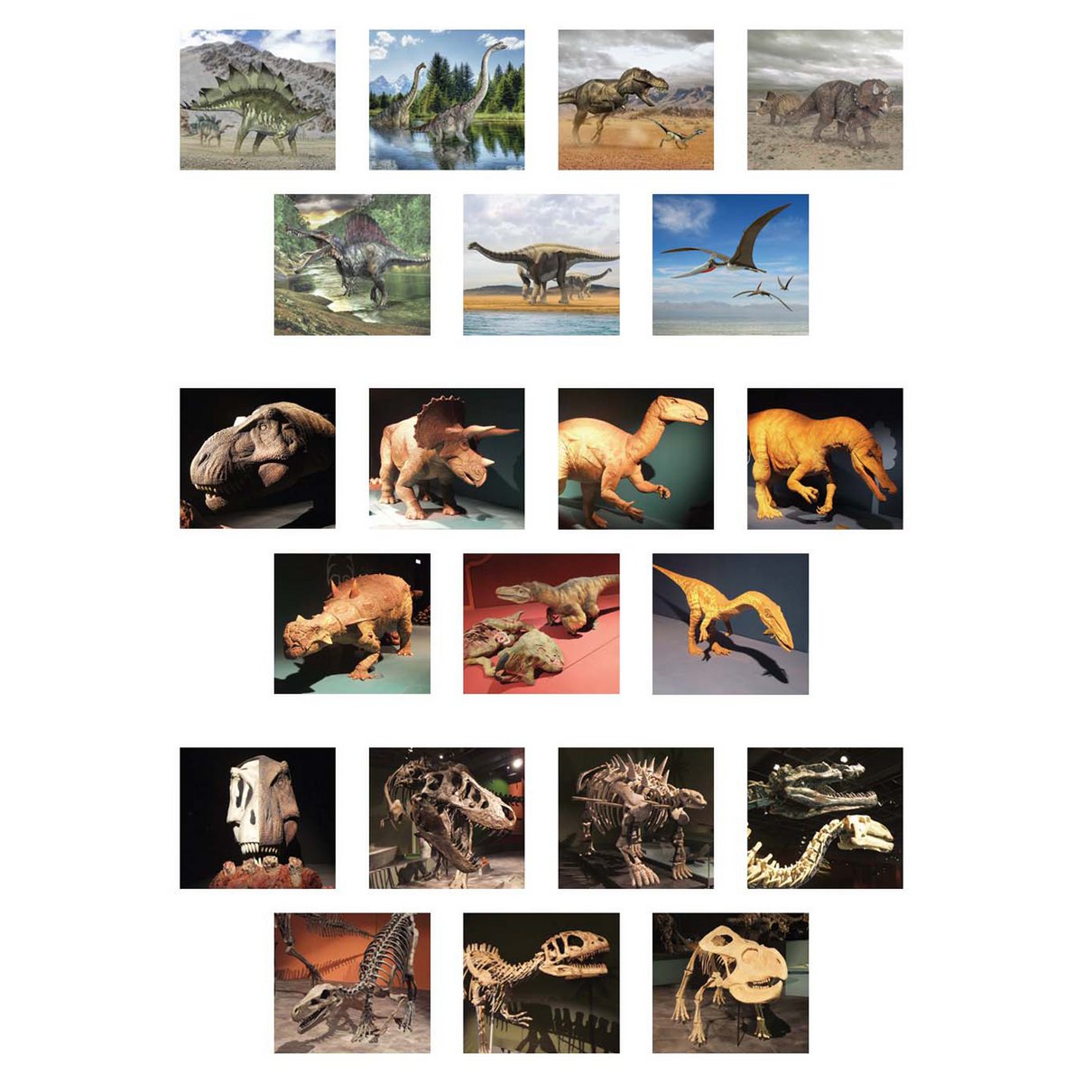 3D-Viewer – Dinosaurier