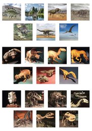 3D Viewer - Dinosaurer
