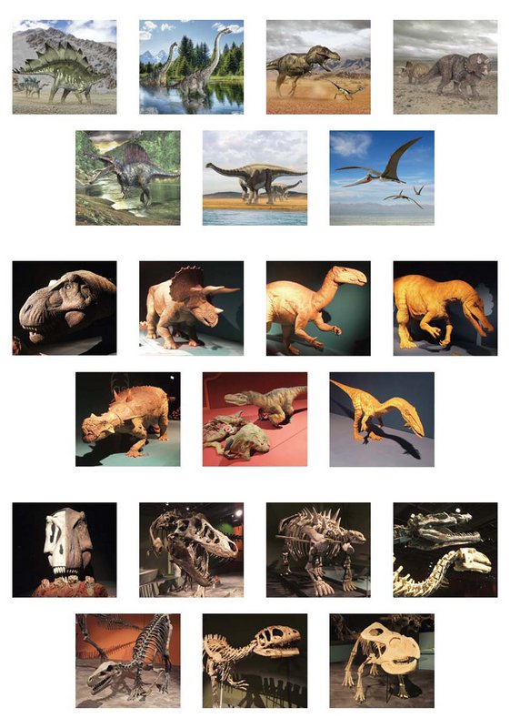 3D Viewer - Dinosaurer