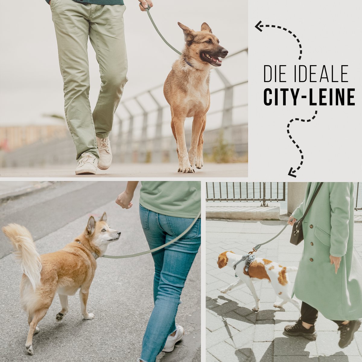 Ne & No® Touline for dogs - 120/170 cm