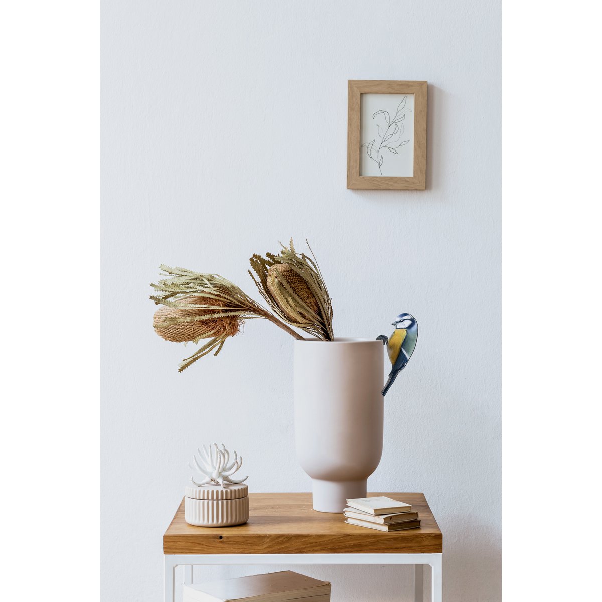 Cintre de pot de plante de mésange bleue