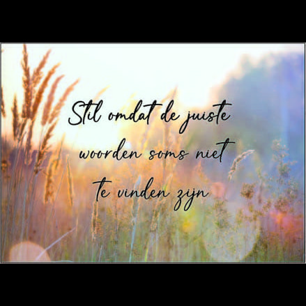 Quiet